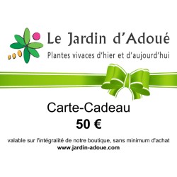 Carte-Cadeau de 50 €